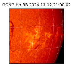 gong - 2024-11-12T21:00:02