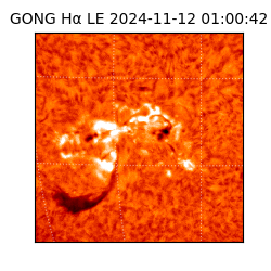 gong - 2024-11-12T01:00:42