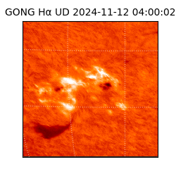 gong - 2024-11-12T04:00:02