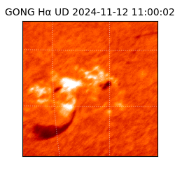 gong - 2024-11-12T11:00:02
