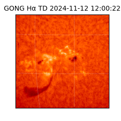 gong - 2024-11-12T12:00:22