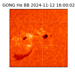 gong - 2024-11-12T16:00:02