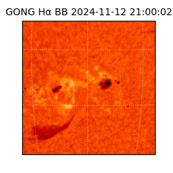 gong - 2024-11-12T21:00:02