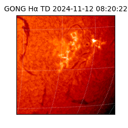 gong - 2024-11-12T08:20:22