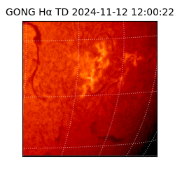 gong - 2024-11-12T12:00:22