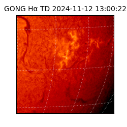 gong - 2024-11-12T13:00:22