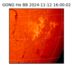 gong - 2024-11-12T16:00:02