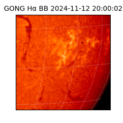 gong - 2024-11-12T20:00:02