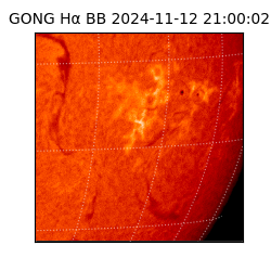 gong - 2024-11-12T21:00:02