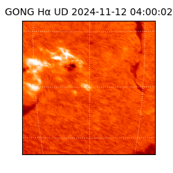 gong - 2024-11-12T04:00:02
