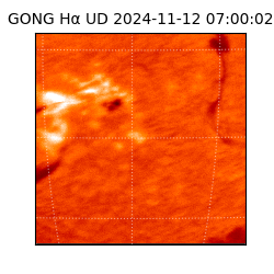 gong - 2024-11-12T07:00:02