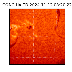 gong - 2024-11-12T08:20:22