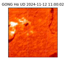 gong - 2024-11-12T11:00:02