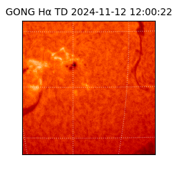 gong - 2024-11-12T12:00:22