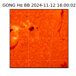 gong - 2024-11-12T16:00:02