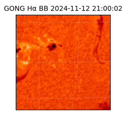 gong - 2024-11-12T21:00:02