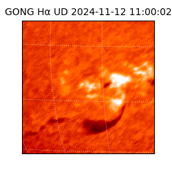gong - 2024-11-12T11:00:02