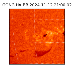 gong - 2024-11-12T21:00:02
