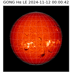 gong - 2024-11-12T00:00:42