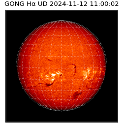 gong - 2024-11-12T11:00:02