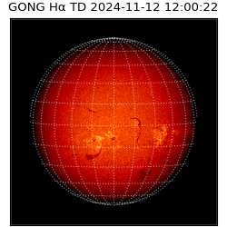 gong - 2024-11-12T12:00:22