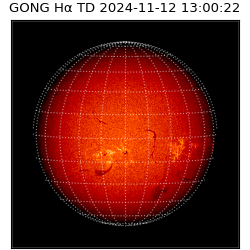 gong - 2024-11-12T13:00:22