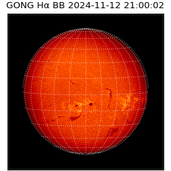 gong - 2024-11-12T21:00:02