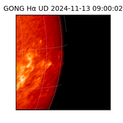gong - 2024-11-13T09:00:02
