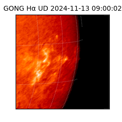 gong - 2024-11-13T09:00:02