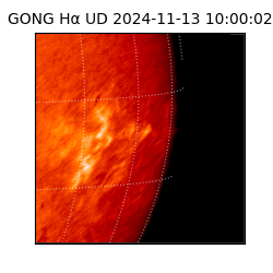 gong - 2024-11-13T10:00:02