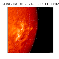 gong - 2024-11-13T11:00:02