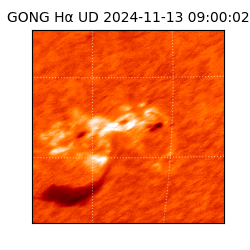 gong - 2024-11-13T09:00:02