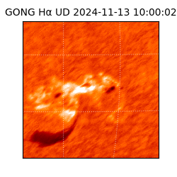 gong - 2024-11-13T10:00:02