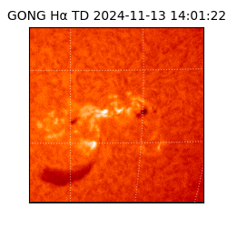 gong - 2024-11-13T14:01:22