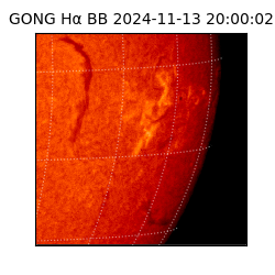 gong - 2024-11-13T20:00:02