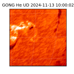 gong - 2024-11-13T10:00:02