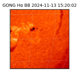 gong - 2024-11-13T15:20:02