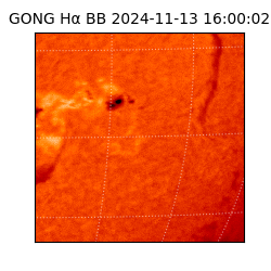 gong - 2024-11-13T16:00:02