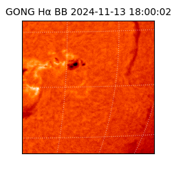 gong - 2024-11-13T18:00:02