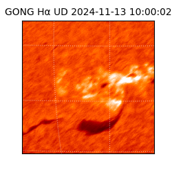 gong - 2024-11-13T10:00:02