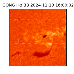 gong - 2024-11-13T16:00:02