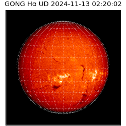 gong - 2024-11-13T02:20:02