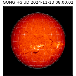 gong - 2024-11-13T08:00:02