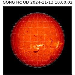 gong - 2024-11-13T10:00:02