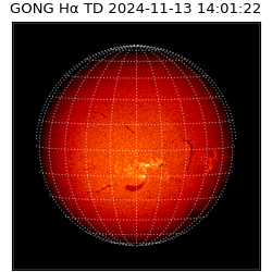 gong - 2024-11-13T14:01:22