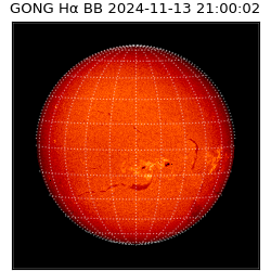 gong - 2024-11-13T21:00:02