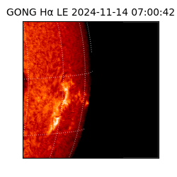 gong - 2024-11-14T07:00:42