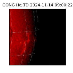gong - 2024-11-14T09:00:22
