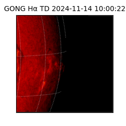 gong - 2024-11-14T10:00:22
