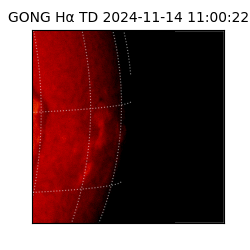 gong - 2024-11-14T11:00:22
